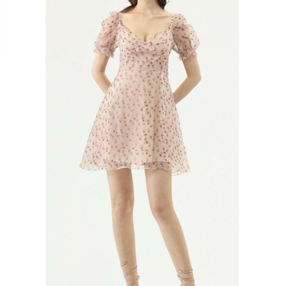 Women’s Romantic Floral Puff Sleeve Mini Dress / small